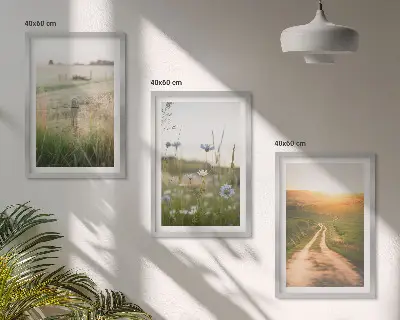 Conjunto de quadros decorativos modernos com paisagens de natureza campos e caminhos