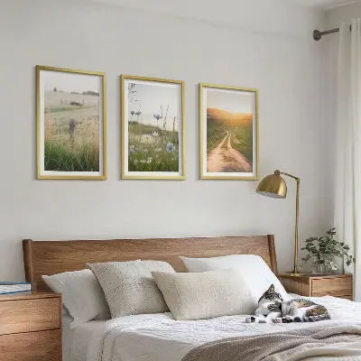 Conjunto de quadros decorativos modernos com paisagens de natureza campos e caminhos