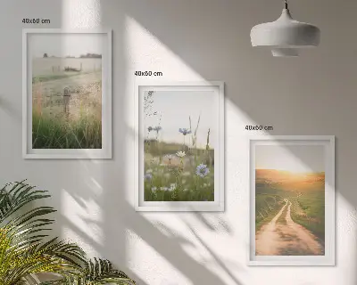 Conjunto de quadros decorativos modernos com paisagens de natureza campos e caminhos