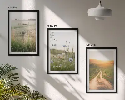 Conjunto de quadros decorativos modernos com paisagens de natureza campos e caminhos