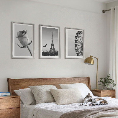 Composição de quadros moderna Rosa Torre Eiffel Roda-gigante
