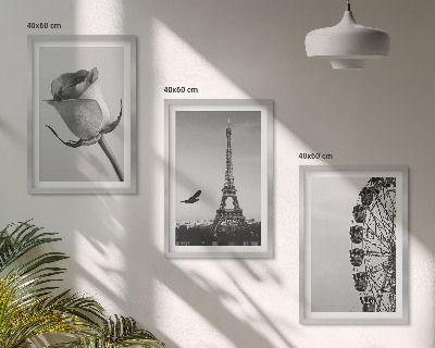 Composição de quadros moderna Rosa Torre Eiffel Roda-gigante