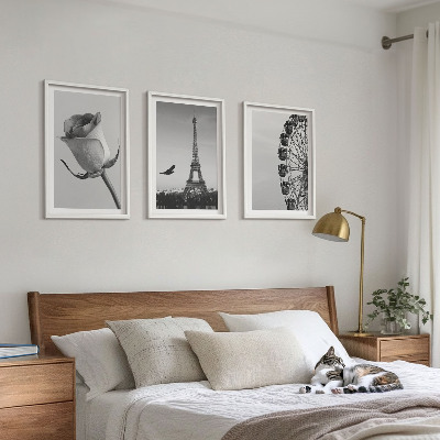 Composição de quadros moderna Rosa Torre Eiffel Roda-gigante