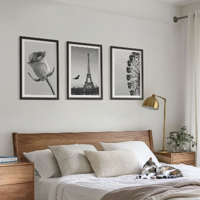 Composição de quadros moderna Rosa Torre Eiffel Roda-gigante