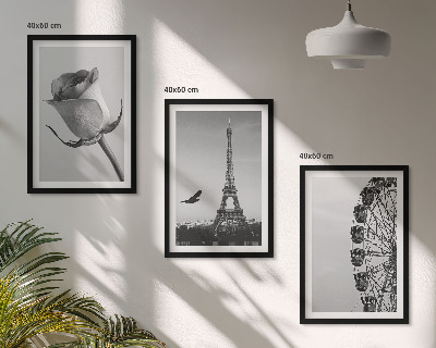 Composição de quadros moderna Rosa Torre Eiffel Roda-gigante
