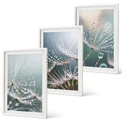 Conjunto de quadros para sala de estar com estampa de gotas de água em brotos de dente-de-leão