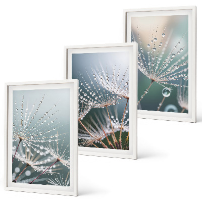 Conjunto de quadros para sala de estar Gotas de água em brotos de dente-de-leão
