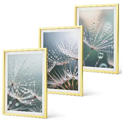 Conjunto de quadros para sala de estar com estampa de gotas de água em brotos de dente-de-leão