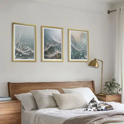 Conjunto de quadros para sala de estar com estampa de gotas de água em brotos de dente-de-leão