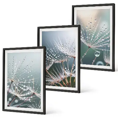 Conjunto de quadros para sala de estar com estampa de gotas de água em brotos de dente-de-leão