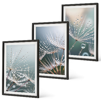 Conjunto de quadros para sala de estar Gotas de água em brotos de dente-de-leão