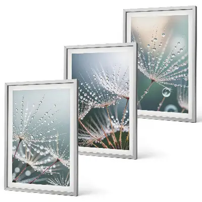 Conjunto de quadros para sala de estar com estampa de gotas de água em brotos de dente-de-leão