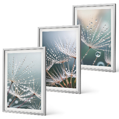 Conjunto de quadros para sala de estar Gotas de água em brotos de dente-de-leão