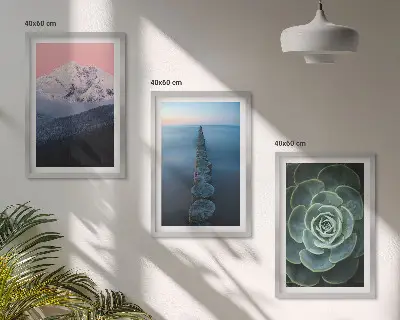 Composição moderna de quadros paisagem de montanhas com céu rosa e suculentas na água