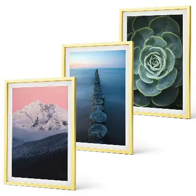 Composição moderna de quadros paisagem de montanhas com céu rosa e suculentas na água