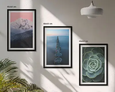 Composição moderna de quadros paisagem de montanhas com céu rosa e suculentas na água