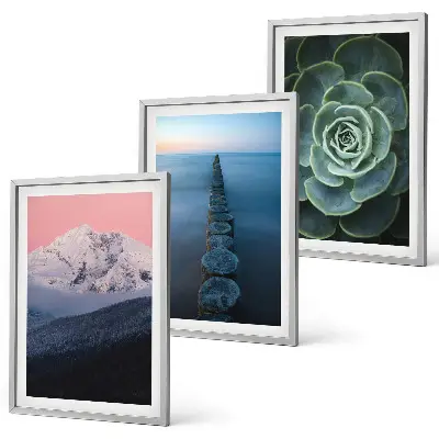 Composição moderna de quadros paisagem de montanhas com céu rosa e suculentas na água