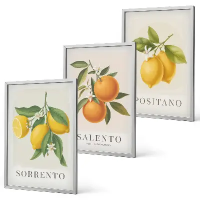 Composição de quadros moderna com limões e laranjas de Amalfi
