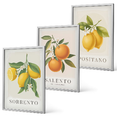 Composição de quadros moderna Limões e laranjas de Amalfi