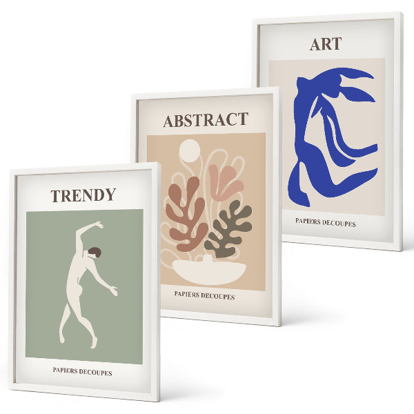 Conjunto de quadros para sala de estar Figuras de plantas elegantes de Matisse
