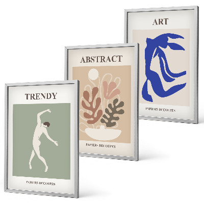 Conjunto de quadros para sala de estar Figuras de plantas elegantes de Matisse