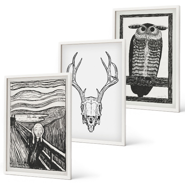 Conjunto de quadros para sala de estar Gráficos de coruja com caveira gritando