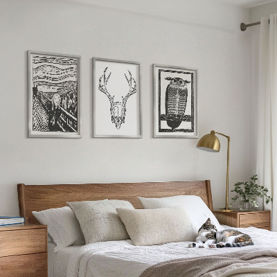Conjunto de quadros para sala de estar Gráficos de coruja com caveira gritando