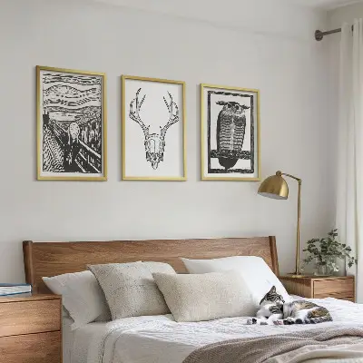 Conjunto de quadros decorativos para sala de estar com estampa de coruja e caveira
