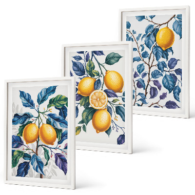 Conjunto de 3 quadros com moldura Ramos de limão folhas azuis