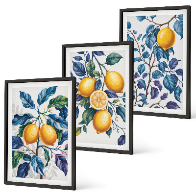 Conjunto de 3 quadros com moldura Ramos de limão folhas azuis