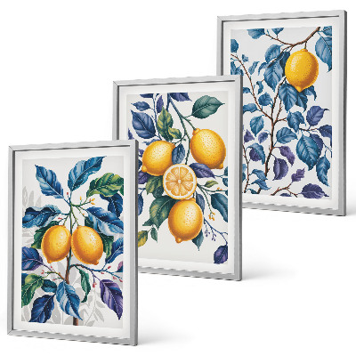 Conjunto de 3 quadros com moldura Ramos de limão folhas azuis