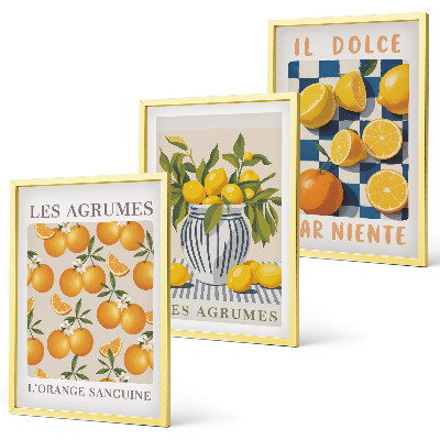 Conjunto de quadros para sala de estar frutas cítricas amarelas retrô