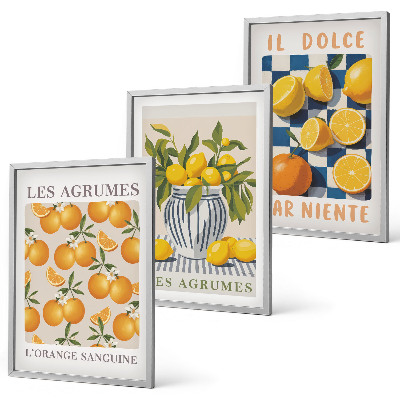 Conjunto de quadros para sala de estar frutas cítricas amarelas retrô