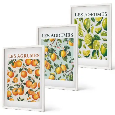 Composição de quadros moderna com padrões de frutas cítricas em tons pastel