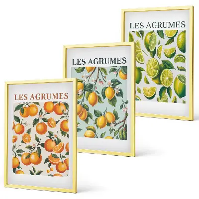 Composição de quadros moderna com padrões de frutas cítricas em tons pastel