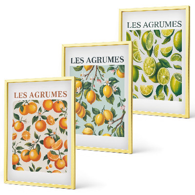 Composição de quadros moderna Padrões frutados de frutas cítricas em tons pastel