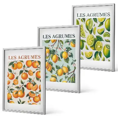 Composição de quadros moderna com padrões de frutas cítricas em tons pastel