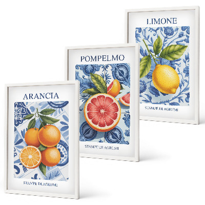 Conjunto de quadros para sala de estar Ilustrações vintage de frutas cítricas