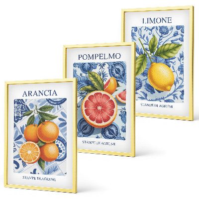Conjunto de quadros para sala de estar Ilustrações vintage de frutas cítricas