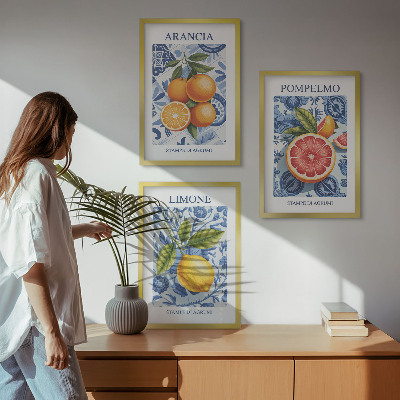 Conjunto de quadros para sala de estar Ilustrações vintage de frutas cítricas