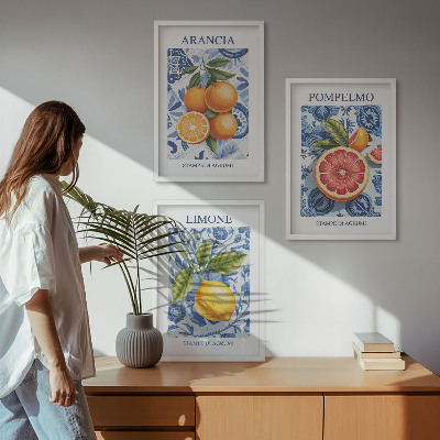 Conjunto de quadros para sala de estar Ilustrações vintage de frutas cítricas