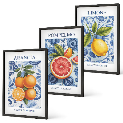 Conjunto de quadros para sala de estar Ilustrações vintage de frutas cítricas