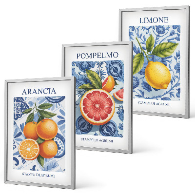 Conjunto de quadros para sala de estar Ilustrações vintage de frutas cítricas