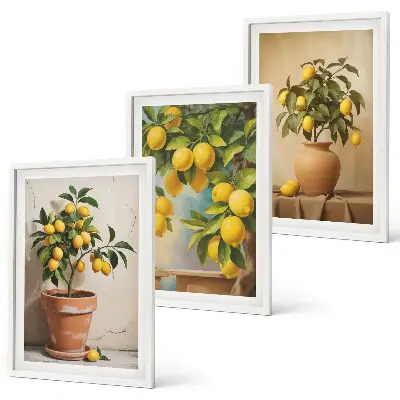 Conjunto de 3 quadros com moldura com limoeiros num vaso e arranjo de plantas