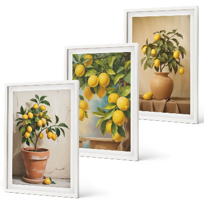Conjunto de 3 quadros com moldura Limoeiros num vaso e num arranjo de plantas