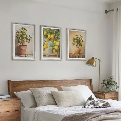 Conjunto de 3 quadros com moldura com limoeiros num vaso e arranjo de plantas