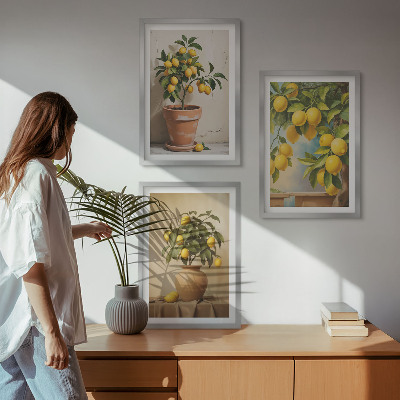 Conjunto de 3 quadros com moldura Limoeiros num vaso e num arranjo de plantas