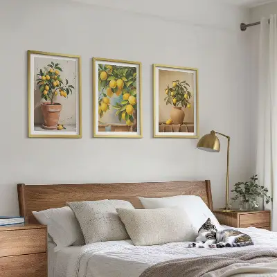 Conjunto de 3 quadros com moldura com limoeiros num vaso e arranjo de plantas
