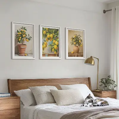 Conjunto de 3 quadros com moldura com limoeiros num vaso e arranjo de plantas