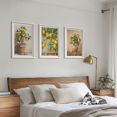 Conjunto de 3 quadros com moldura Limoeiros num vaso e num arranjo de plantas